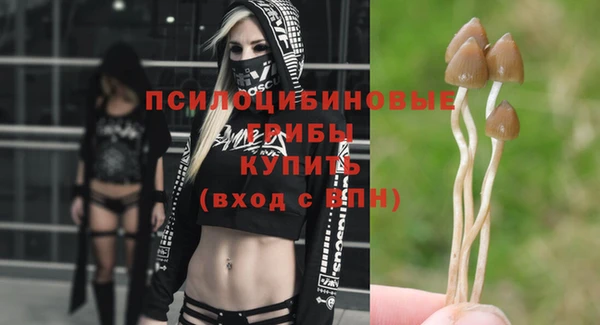 спиды Нефтегорск